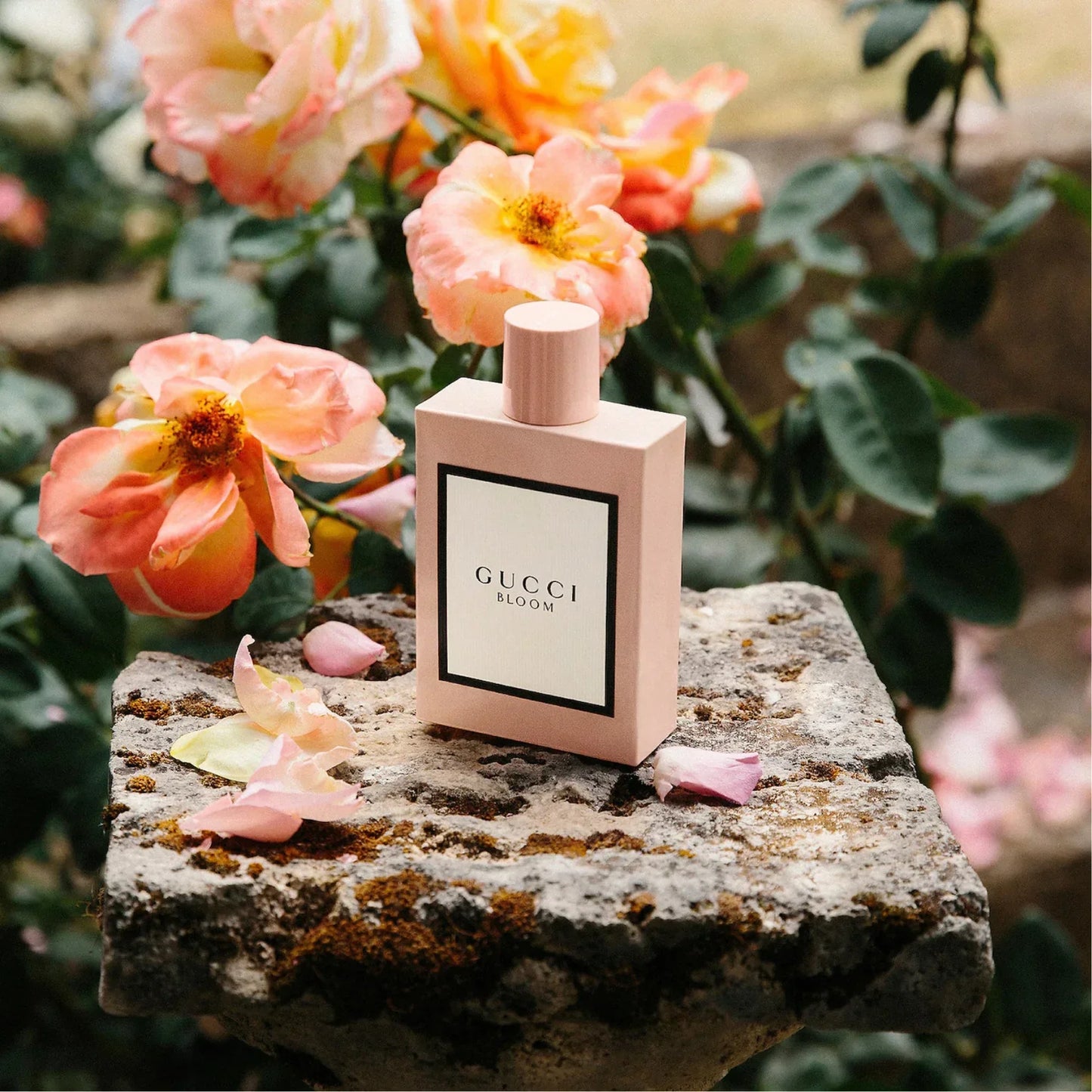 Gucci Bloom Eau De Parfum For Women